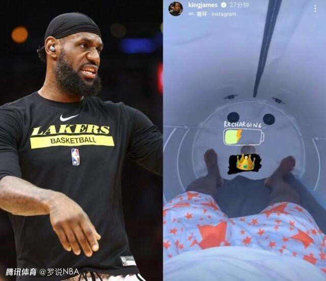 精品一区二区久久久久久久网精
